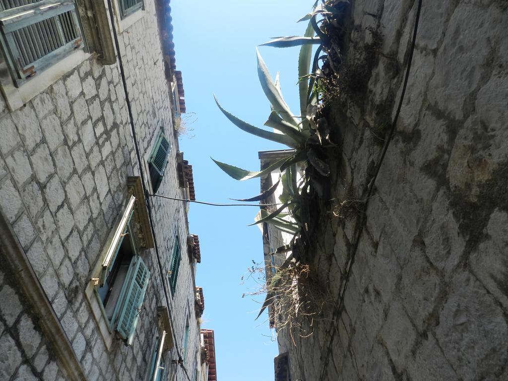 Apartment Nika Split Dış mekan fotoğraf